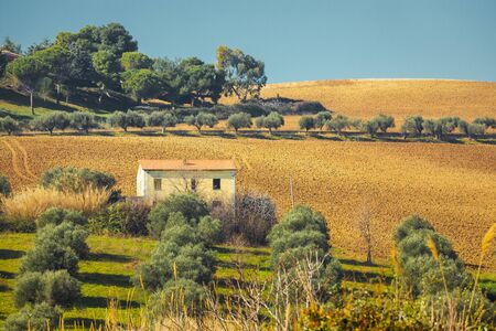 Hilly landscape in nature with remains of an abandoned house. Meadows and green trees in nature....