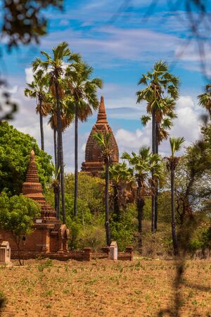 Buddhist pagoda temple. Bagan, Myanmar. Home of the largest and denset concentration of religion Buddhist temples, pagodas, stupas and ruins in the world. Trees and palms.の写真素材