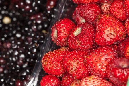 Strawberries and blackberries background. Foreground close up macro. Whole background. Intense red color. Close up very detailed.の写真素材