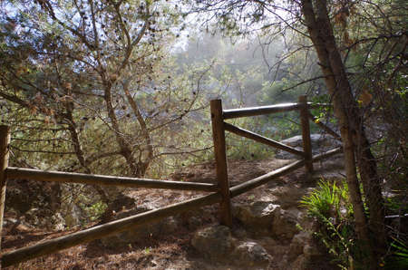 Hiking trail of the Sete Vales (seven valleys) in Lagoa. Algarve, Portugalの写真素材