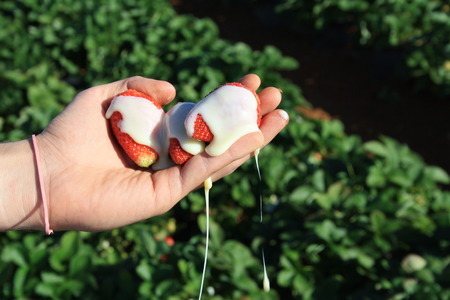 desireの写真素材