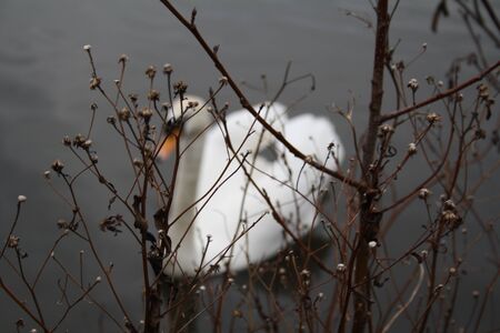 europeの写真素材