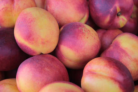 juicy peaches,の写真素材