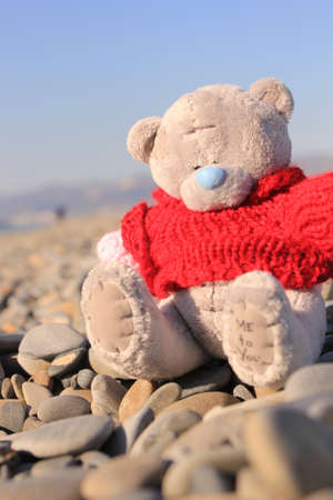 bears.の写真素材