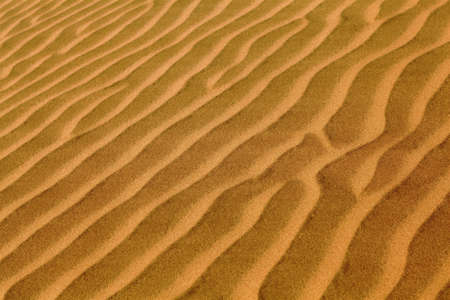 Sand waves