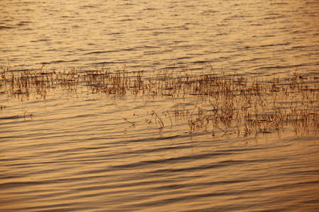 the light of the sunset reflected on lake waterの写真素材