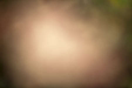 abstract defocused background with sunshine forestの写真素材