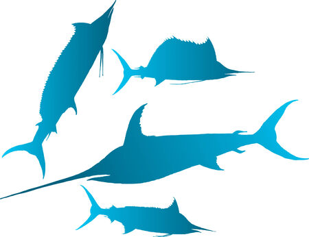 Vector illustration silhouettes of marlin, spearfish, sailfish and sword-fishのイラスト素材