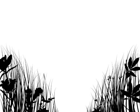 Grass silhouettes ornate on the white backgroundのイラスト素材