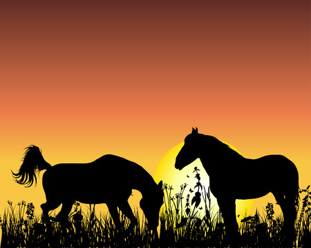 Horse silhouette on sunset background. Vector illustration.のイラスト素材