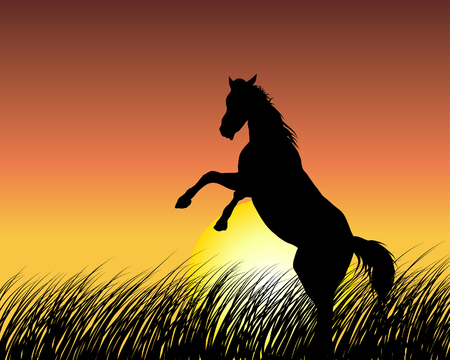 Horse Silhouette On Sunset Background Vector Illustration Royalty Free Vector Graphics