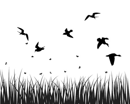 Vector grass silhouettes backgrounds for design useのイラスト素材