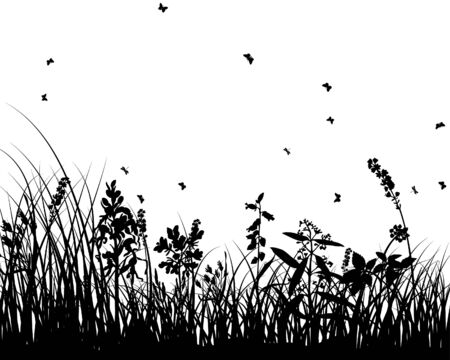 Vector grass silhouettes background for design useのイラスト素材