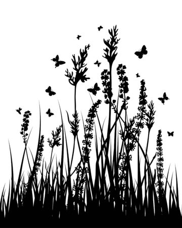 Vector grass silhouettes background. All objects are separated.のイラスト素材