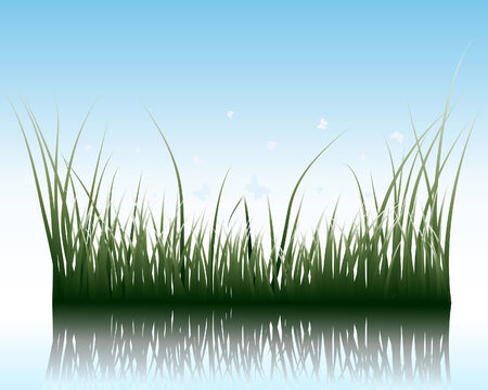 Vector grass silhouettes background with reflection in water. All objects are separated.のイラスト素材