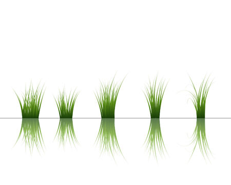 Vector grass silhouettes background with reflection in water. All objects are separated.のイラスト素材