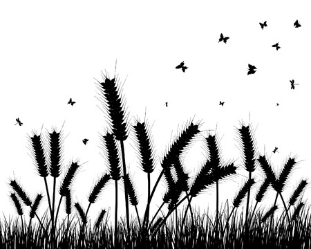 grass silhouettes background. All objects are separated.のイラスト素材