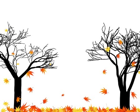 Pattern of autumn  maples leaves.  illustration.のイラスト素材