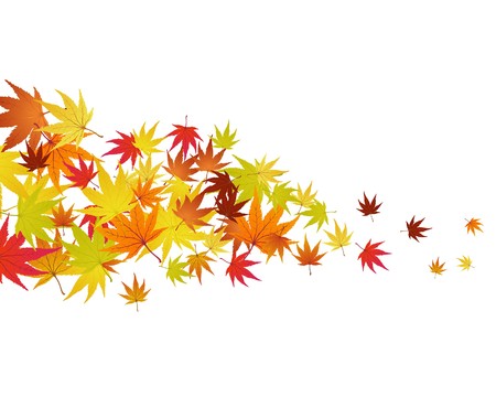 Pattern of autumn  maples leaves.   illustration.のイラスト素材
