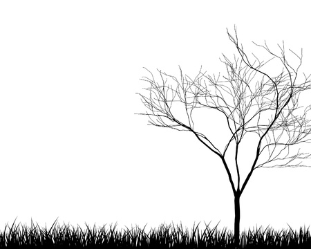  grass silhouettes background. All objects are separated.のイラスト素材