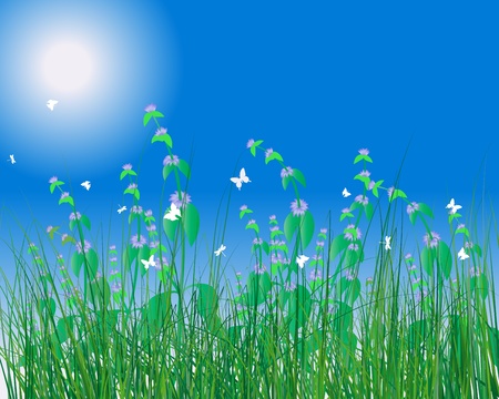 Vector grass silhouettes background. All objects are separated.のイラスト素材