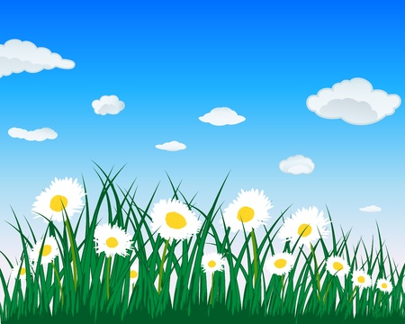 Meadow background with camomiles. All objects are separated. Vector illustration.のイラスト素材