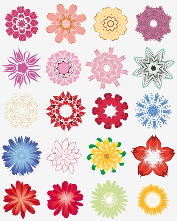 Set of different flower and leaves for self-supporting making floral ornate.のイラスト素材