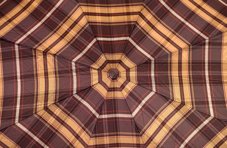 Close-up view of checked brown woman umbrella の写真素材