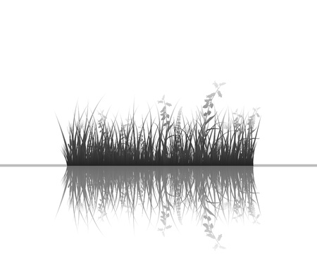 Vector grass silhouettes background with reflection in water. All objects are separated.のイラスト素材