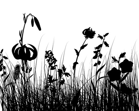 Vector grass silhouettes background. All objects are separated.のイラスト素材