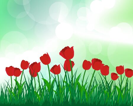 grass silhouettes with blurred background. All objects are separated.のイラスト素材