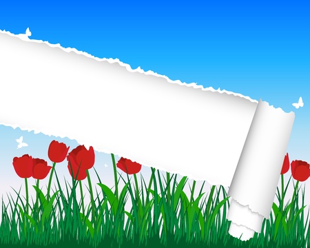 grass silhouettes background with ripped stripe. All objects are separated.のイラスト素材