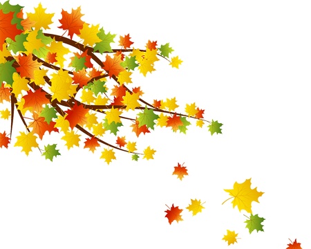 Autumn maples falling leaves background. のイラスト素材