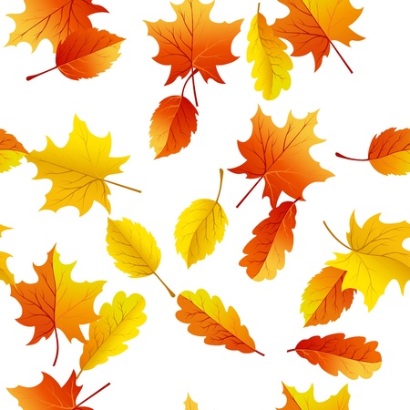 Autumn maples leaves seamless background. のイラスト素材
