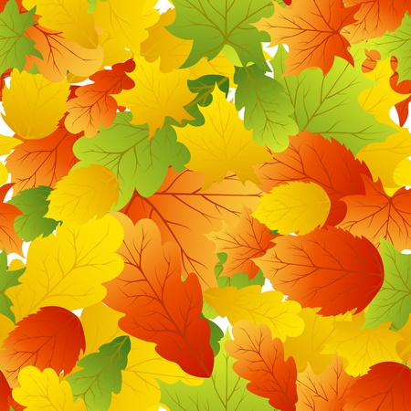 Autumn maples leaves seamless background. のイラスト素材