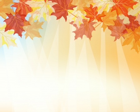 Autumn maples falling leaves background. のイラスト素材