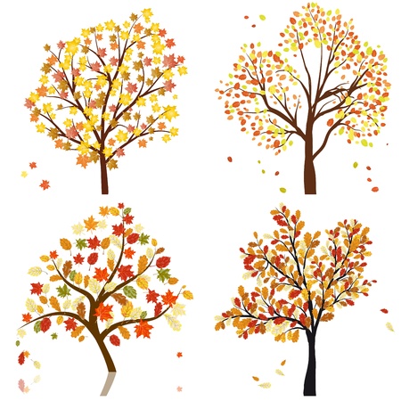 Set of four autumn tree. illustration. のイラスト素材