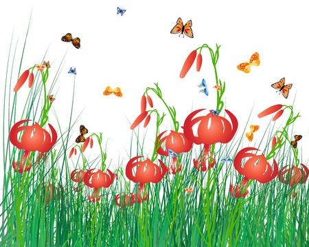 Meadow color background with butterfly and sun. All objects are separated. illustration with transparency. のイラスト素材