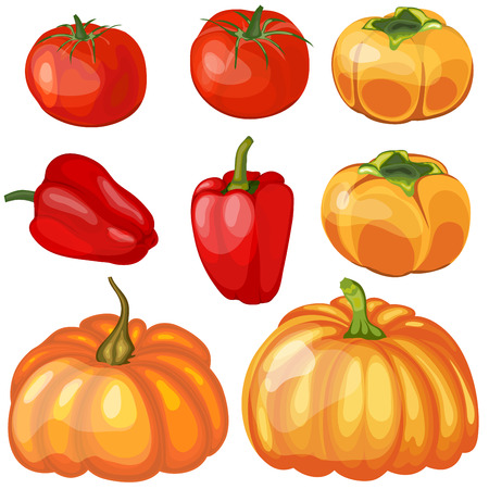 Set of Thankgivings Day vegetable icons. Vector Illustration  with transparency.のイラスト素材