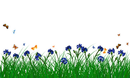 Meadow color background with butterflies and cornflowersのイラスト素材