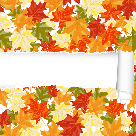 Autumn maple seamless pattern with ripped stripe. EPS 10 vector illustration. のイラスト素材