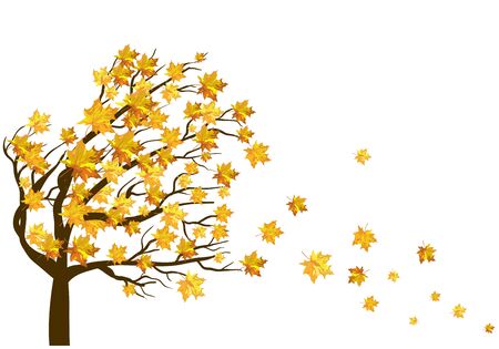 Autumn maple leaves background. EPS 10 vector illustration.のイラスト素材
