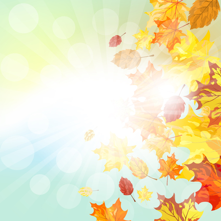 Autumn  Frame With Falling  Maple Leaves on Sky Background. Elegant Design with Rays of Sun and Ideal Balanced Colors. Vector Illustration.のイラスト素材