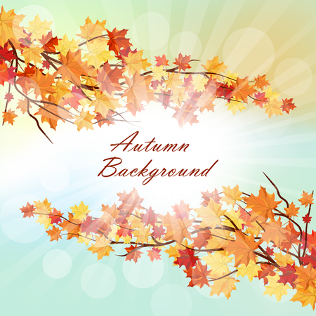 Autumn  Frame With Falling  Maple Leaves on Sky Background. Elegant Design with Rays of Sun and Ideal Balanced Colors. Vector Illustration.のイラスト素材