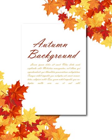 Autumn  Frame With Blank Sheet of Paper and Maple Leaves Over and Under It.  Over White Background. Elegant Design with Text Space and Ideal Balanced Colors. Vector Illustration.のイラスト素材