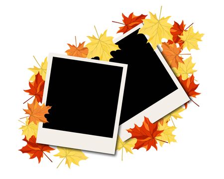 Autumn  Frame With Blank Photograph and Maple Leaves Over and Under It.  Over White Background....