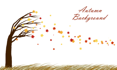 Autumn  design from tilting maple tree with blowing away leaves on white background. Elegant design with copy space and ideal balanced colors. Vector illustration.のイラスト素材