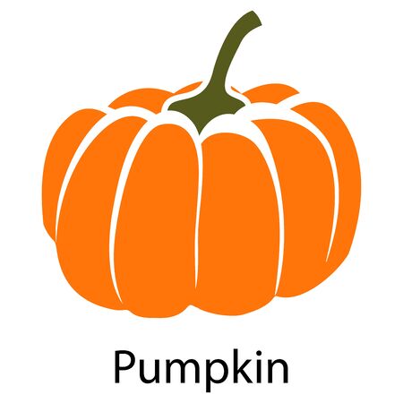 Pumpkin icon on white background. Vector illustration.のイラスト素材