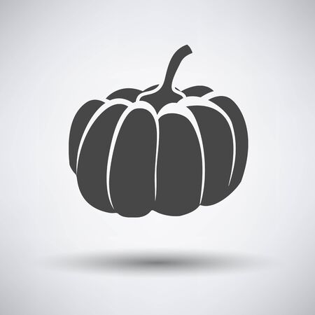 Pumpkin icon on gray background with round shadow. Vector illustration.のイラスト素材