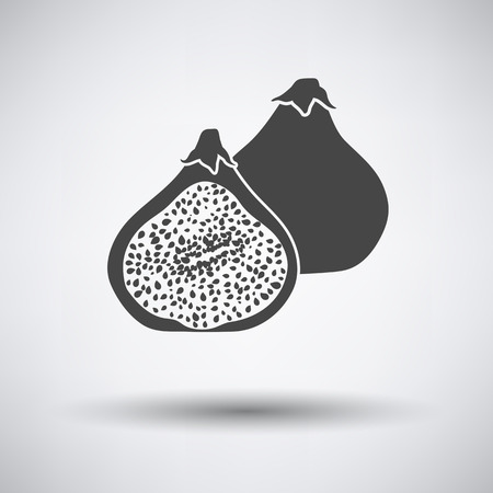 Fig fruit icon on gray background with round shadow. Vector illustration.のイラスト素材
